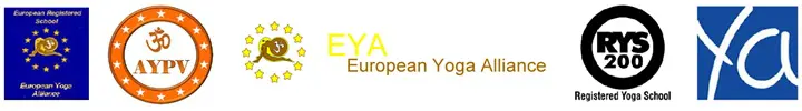 certificación internacional curso instructor yoga